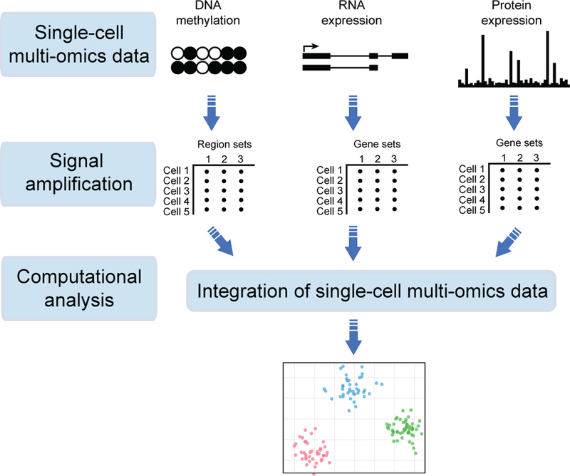 Figure 4: