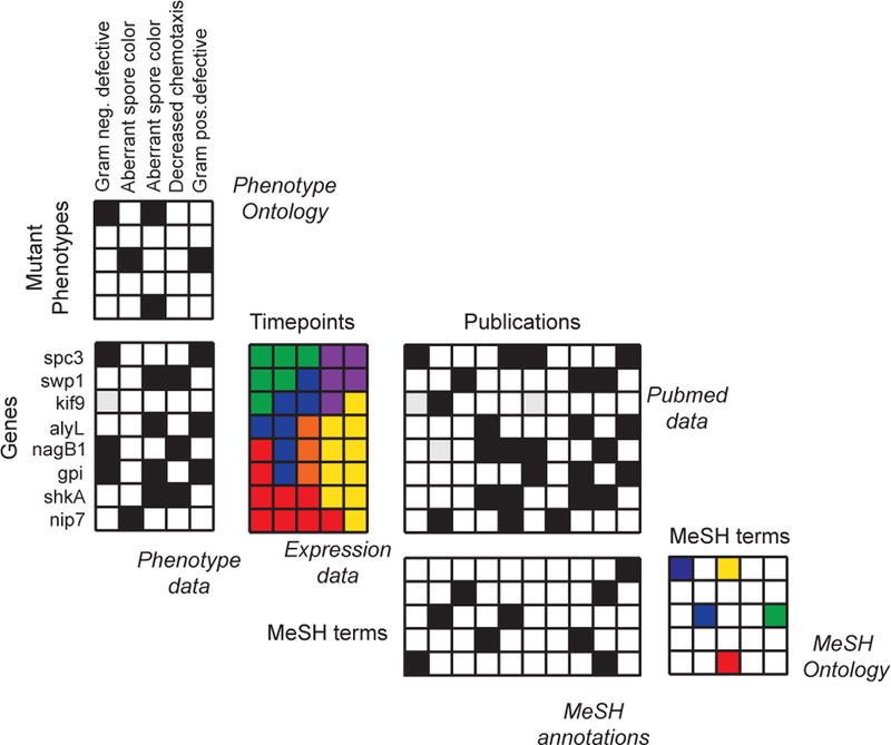 Figure 5: