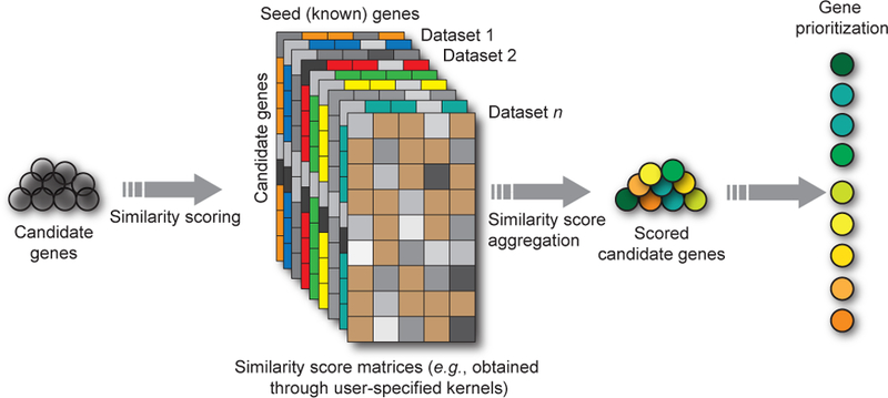 Figure 6: