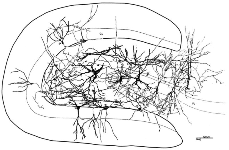 Fig. 11