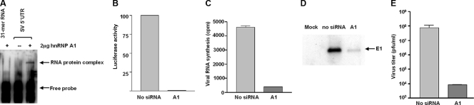 FIG. 5.