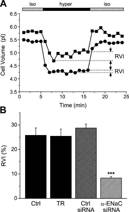 Fig. 7