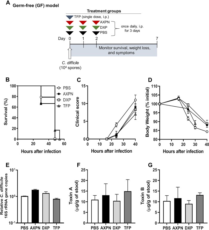 FIG 3