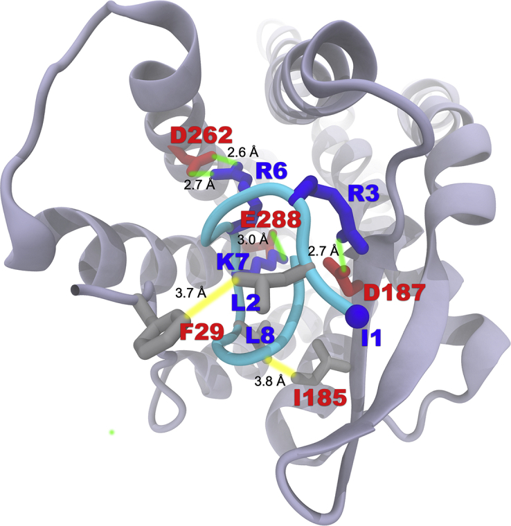 Figure 4