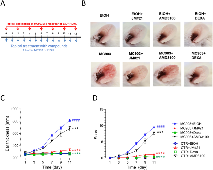 Figure 11