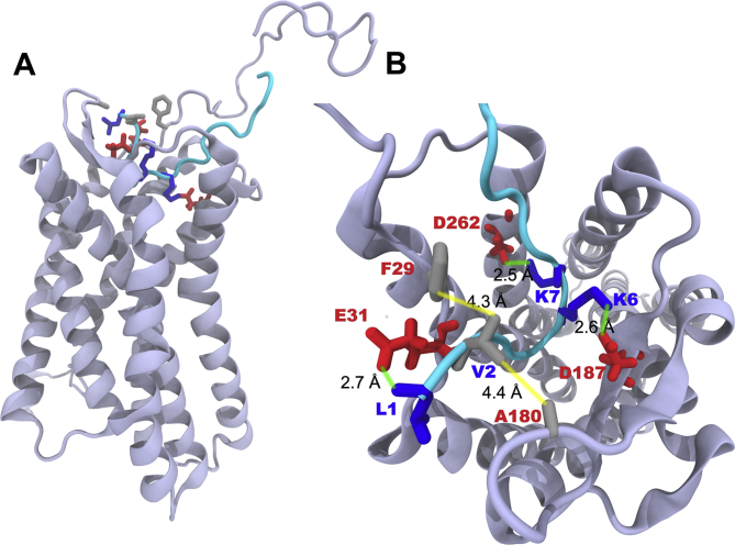 Figure 1