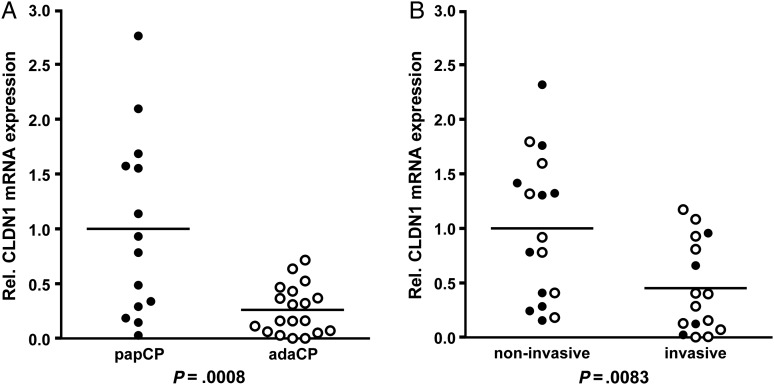 Fig. 2.