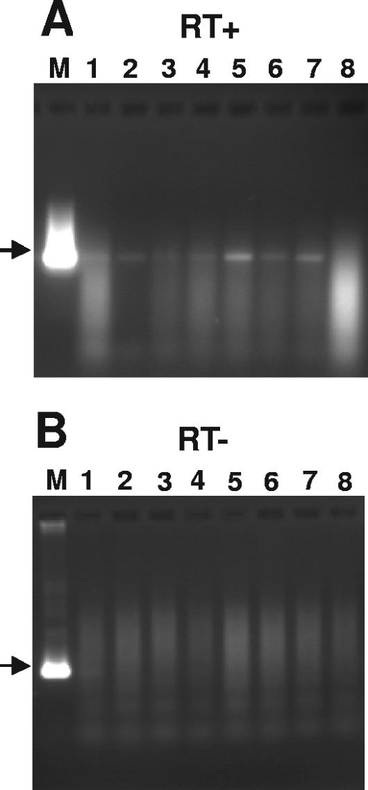 FIG. 6.