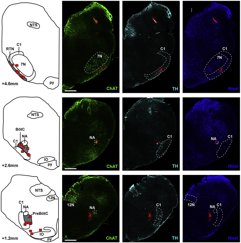 Figure 2: