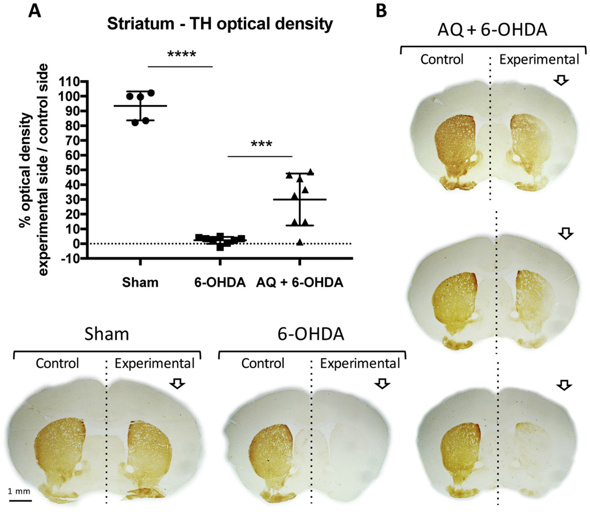 Fig. 7.