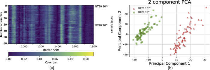 Fig. 11.