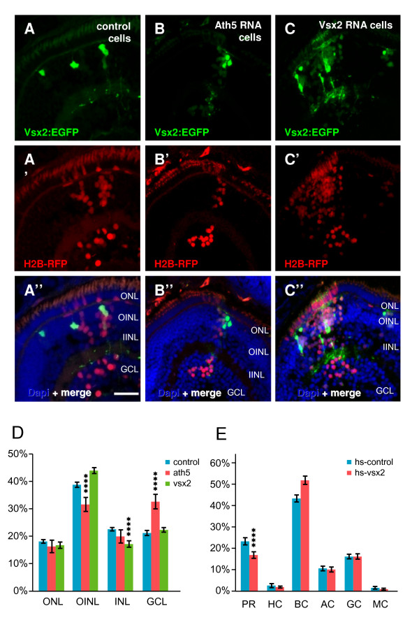 Figure 14