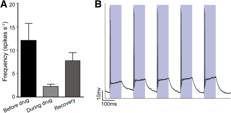 Fig. 3