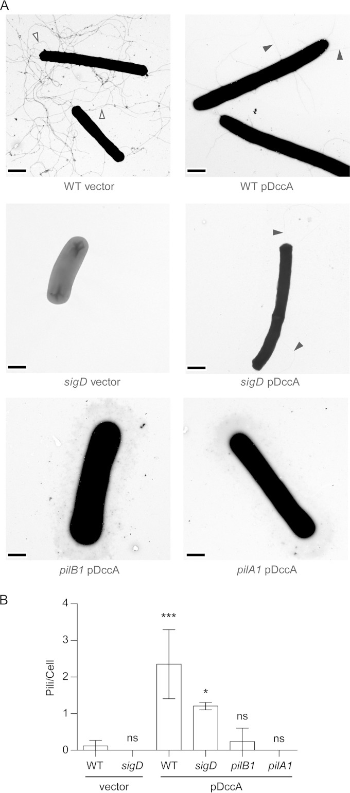 FIG 2