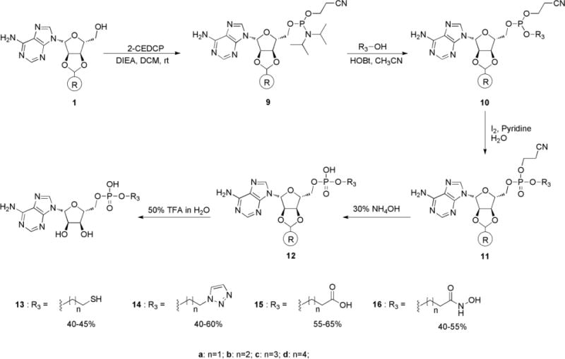 Scheme 3