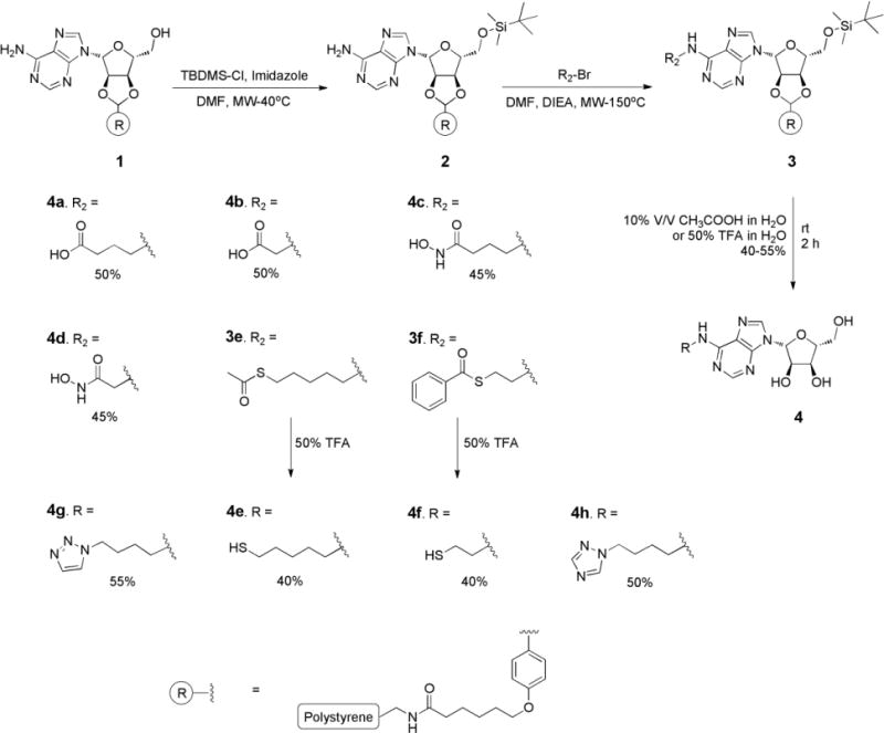 Scheme 1