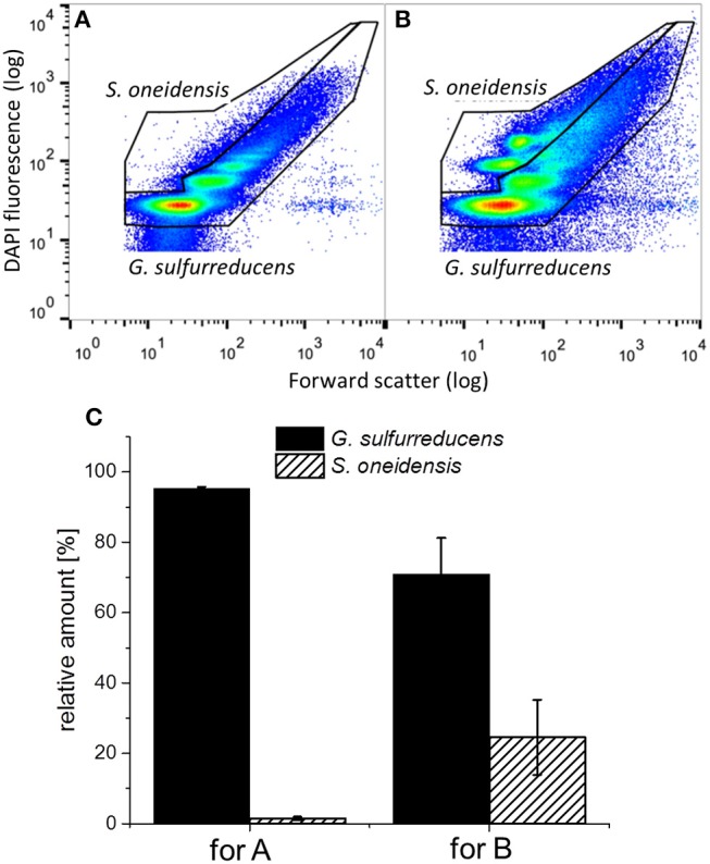 Figure 7