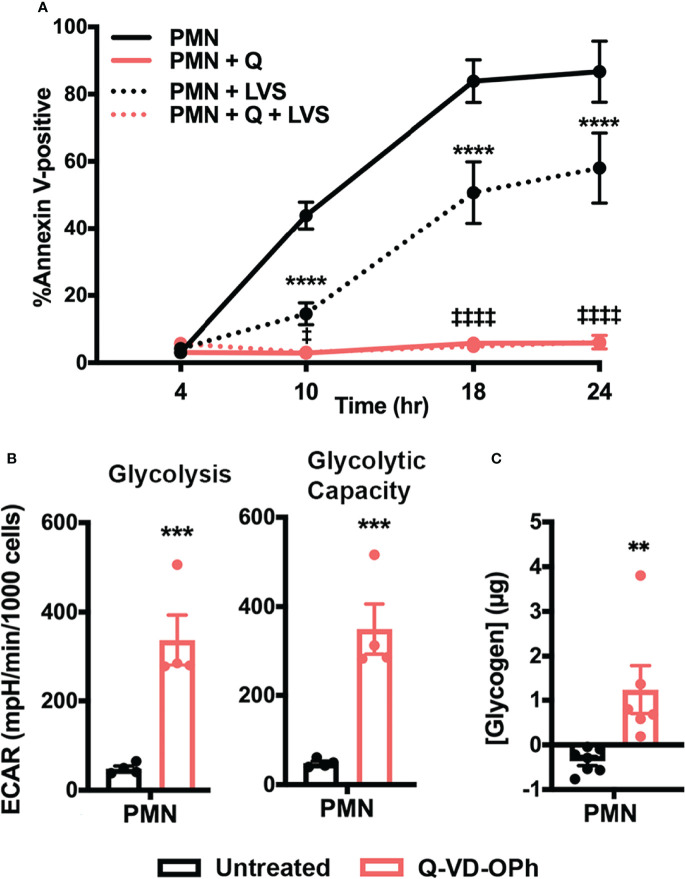 Figure 9