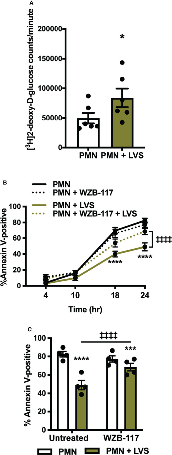 Figure 6