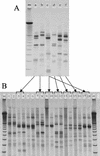 FIG. 4.