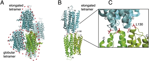 FIGURE 4.