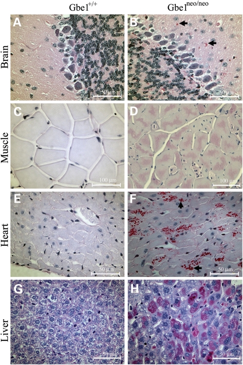 Figure 4.