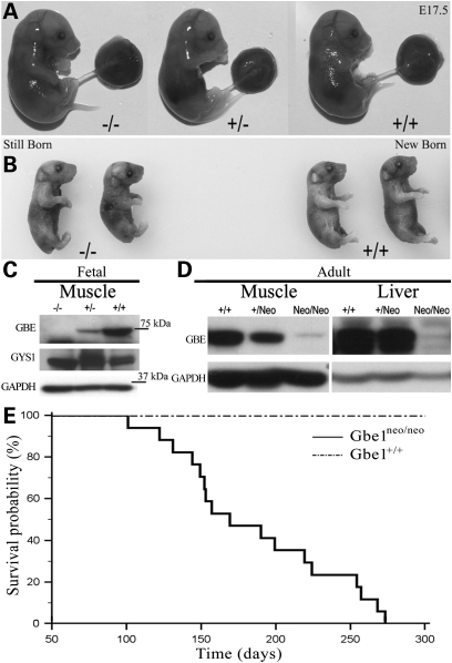 Figure 2.