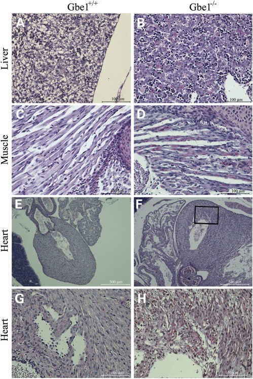 Figure 3.