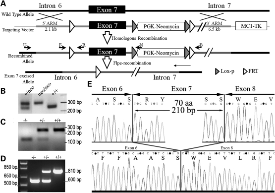 Figure 1.