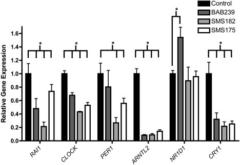 Figure 3