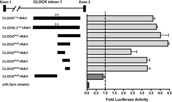 Figure 5