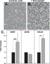 Figure 11.