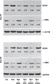 Figure 10.