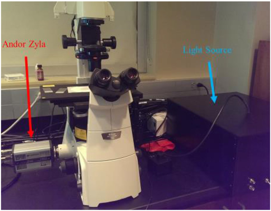 Figure 1 –