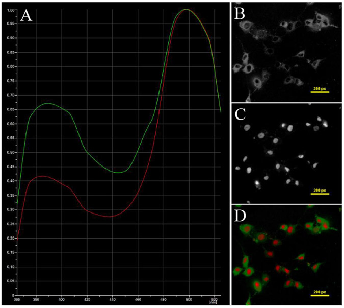 Figure 3 –