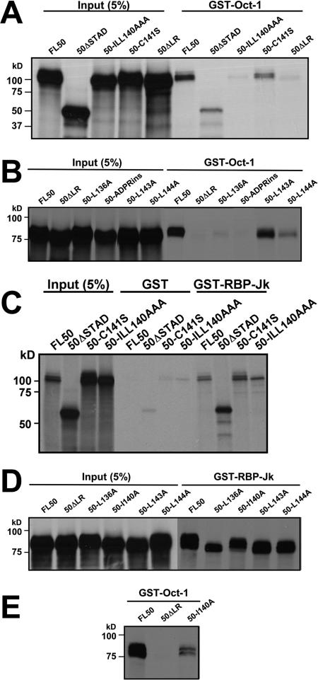 FIG. 5.