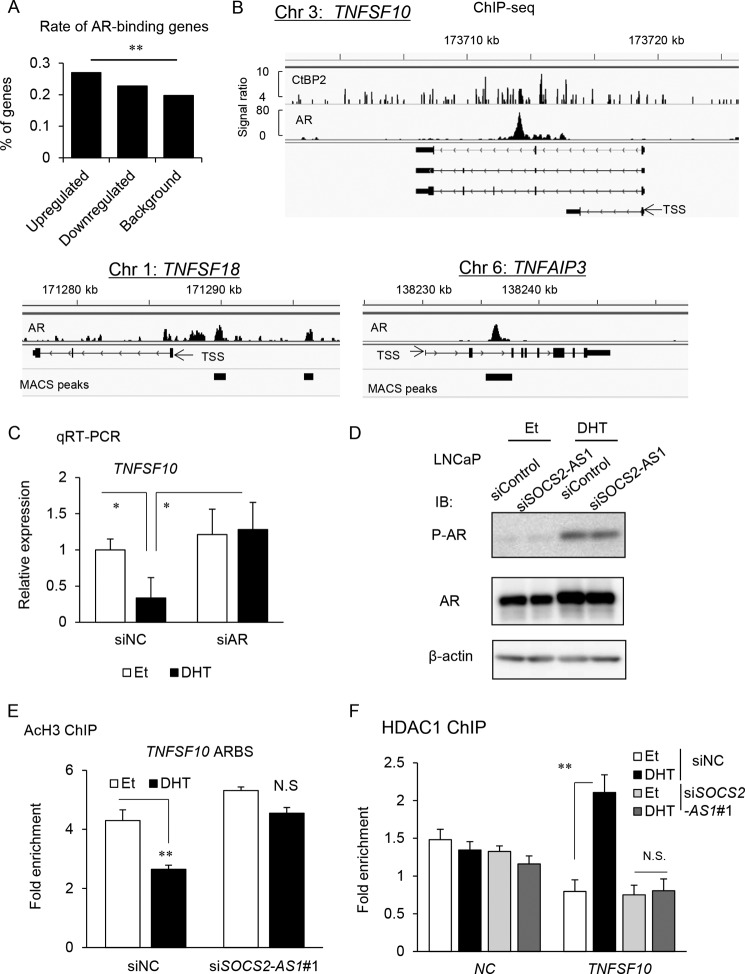 FIGURE 12.