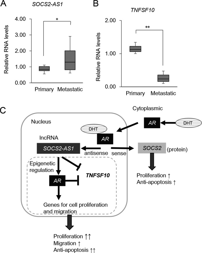 FIGURE 14.