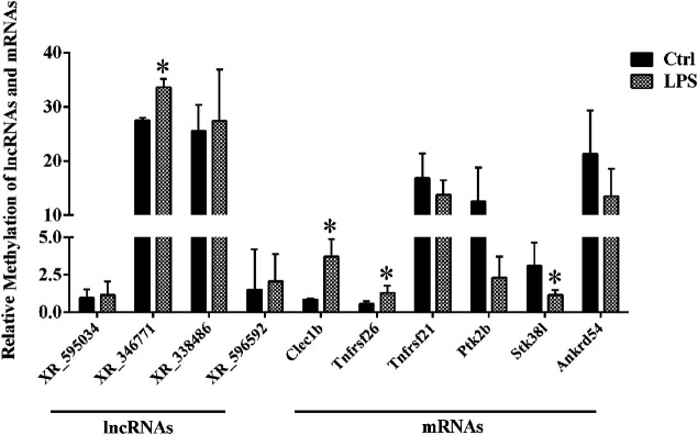 FIGURE 4