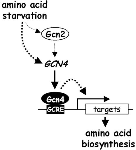 FIG. 7.