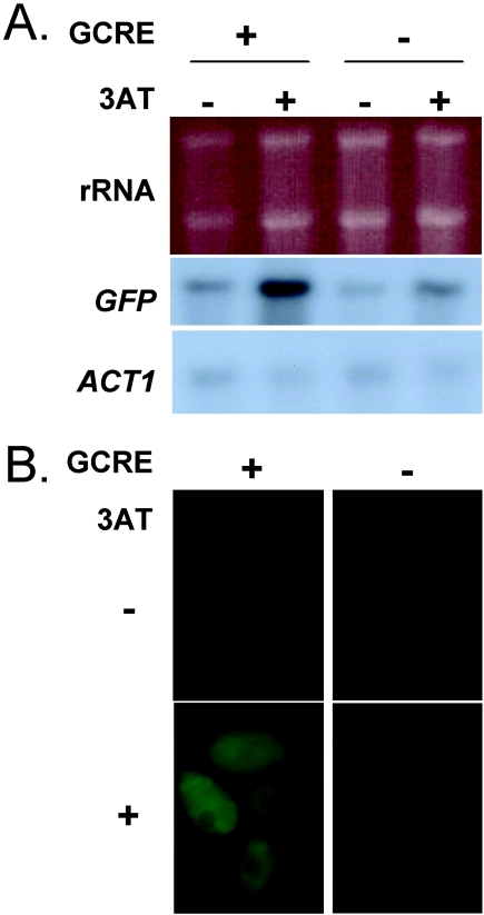 FIG. 4.