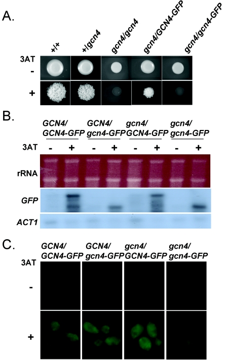 FIG. 5.