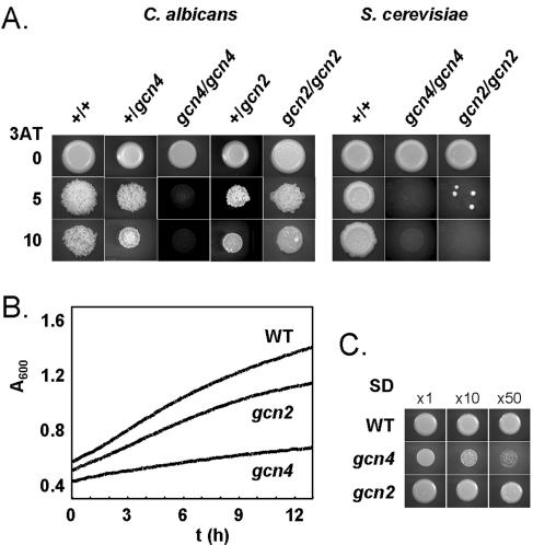 FIG. 2.