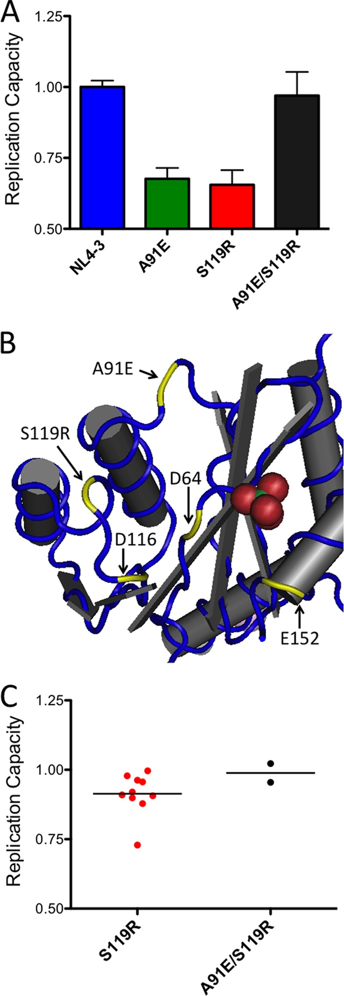 Fig 6