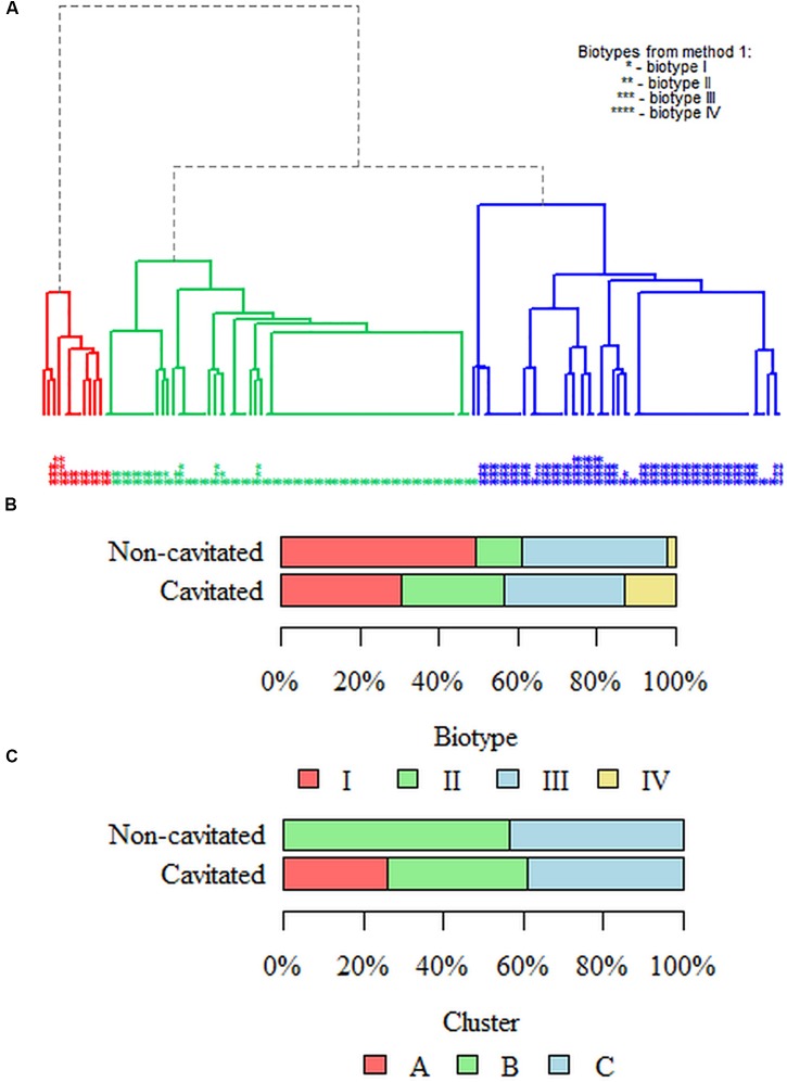 FIGURE 1