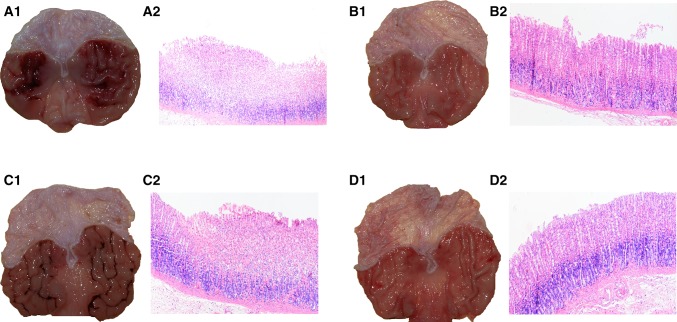 Fig. 3