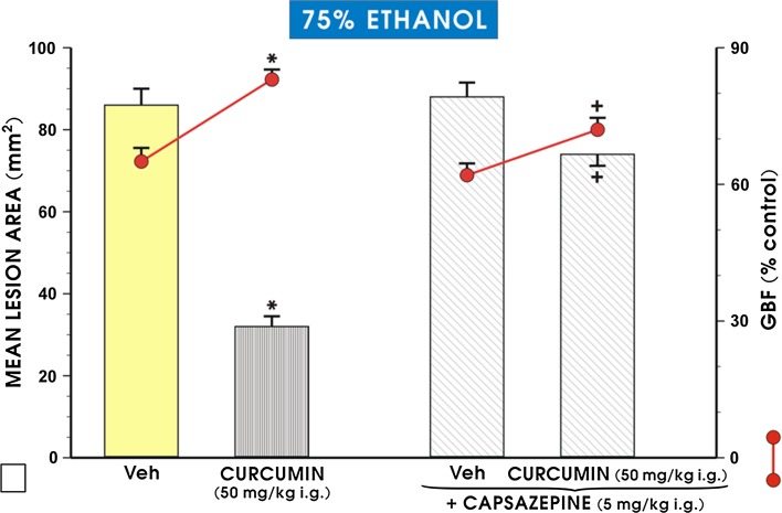 Fig. 6