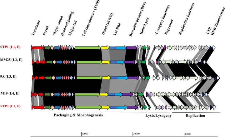 FIG 3