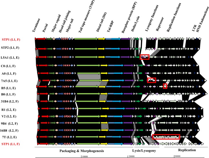 FIG 2