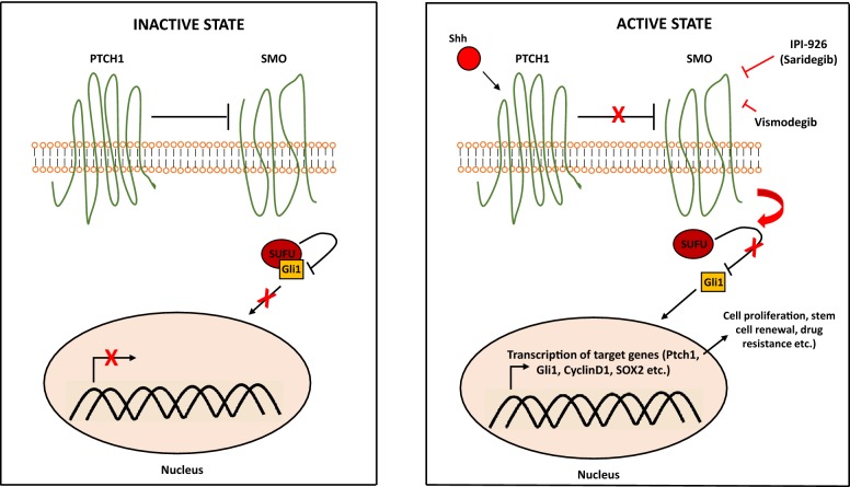 Fig. 2